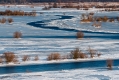 042_Biebrza - marzec 2013